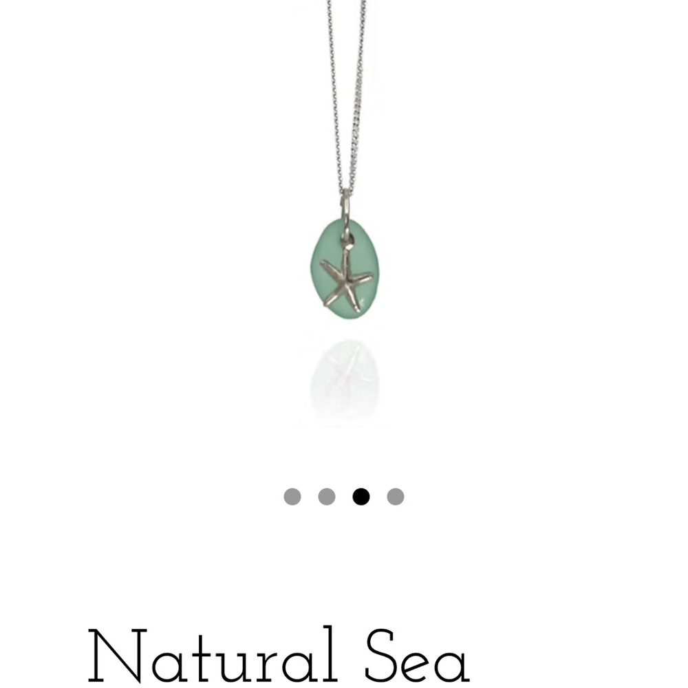 Starfish Pendant Necklace - Silver and Periwinkle